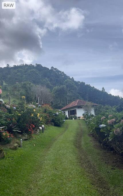 Sitio Com Piscina Natural E Cascata, Com Linda Vista Em Lumiar. Екстериор снимка