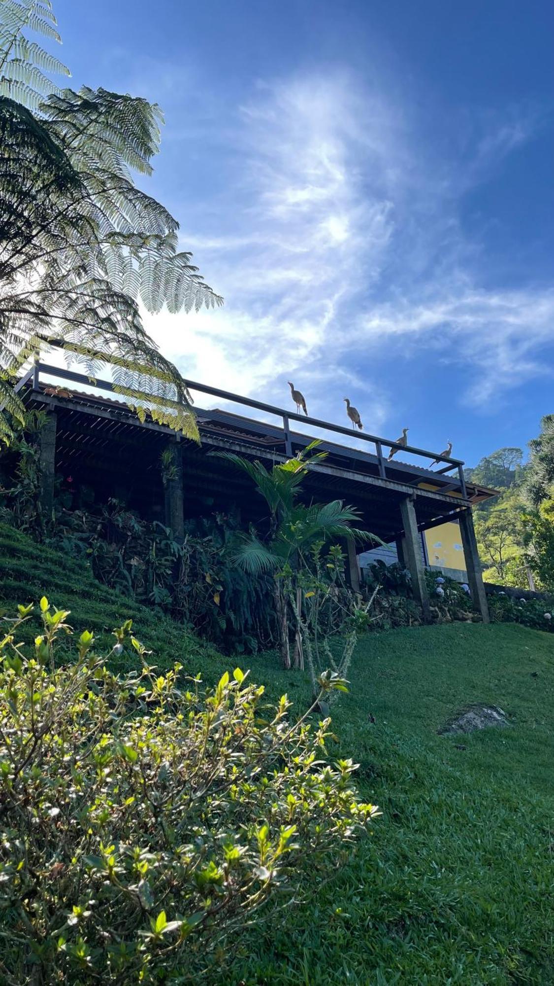 Sitio Com Piscina Natural E Cascata, Com Linda Vista Em Lumiar. Екстериор снимка