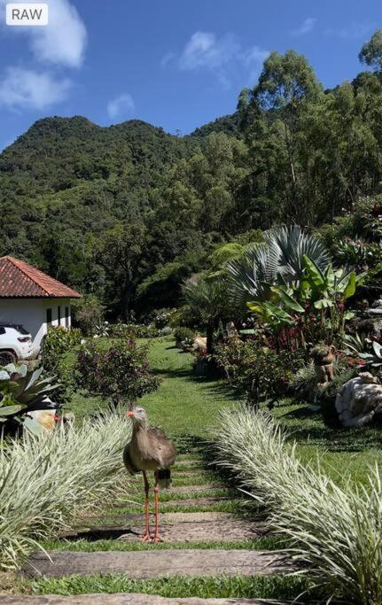 Sitio Com Piscina Natural E Cascata, Com Linda Vista Em Lumiar. Екстериор снимка